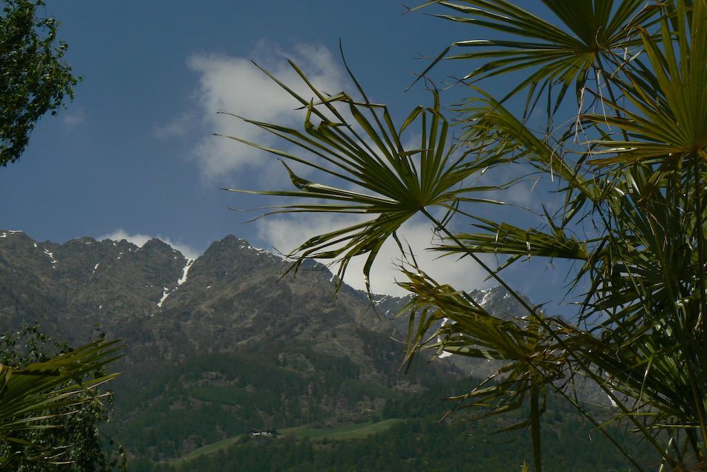 Alpina Residence Naturns Zewnętrze zdjęcie